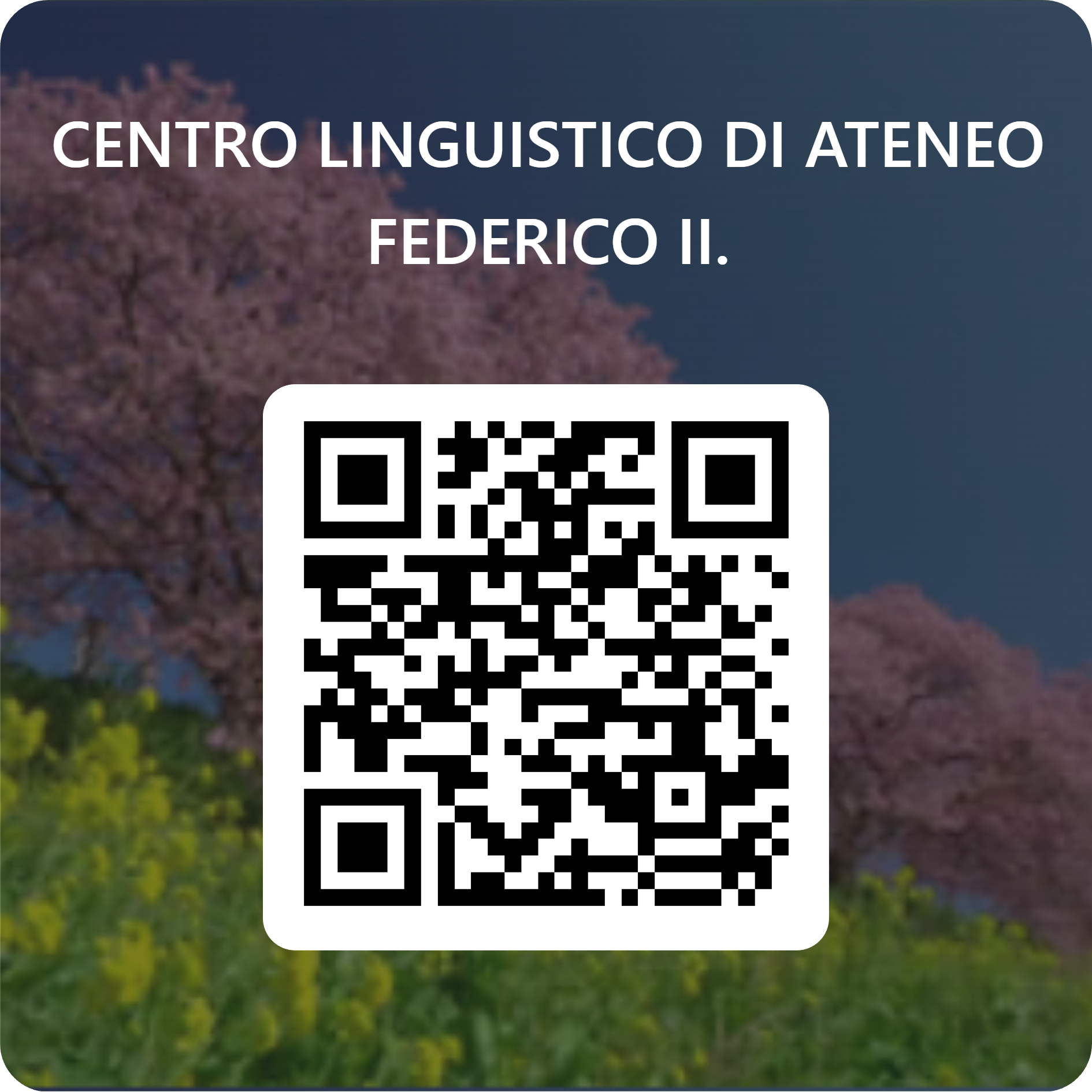 LE SFIDE DEL CENTRO LINGUISTICO DI ATENEO