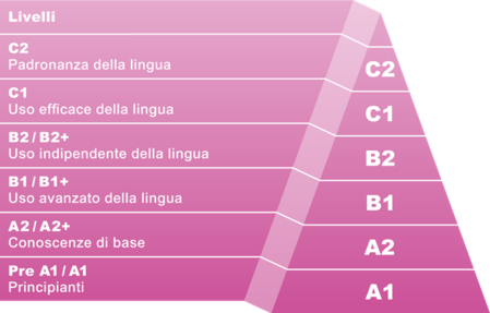 Il Quadro comune europeo di riferimento per la conoscenza delle lingue (QCER) è uno standard internazionale utile per descrivere le abilità linguistiche. Descrive le abilità in una scala di sei punti che va dall'A1 per i principianti al C2 di chi possiede un livello alto. A1 - Livello base Si comprendono e si usano espressioni di uso quotidiano e frasi basilari tese a soddisfare bisogni di tipo concreto. Si sa presentare se stessi e gli altri e si è in grado di fare domande e rispondere su particolari personali come dove si abita, le persone che si conoscono e le cose che si possiedono. Si interagisce in modo semplice, purché l'altra persona parli lentamente e chiaramente e sia disposta a collaborare. A2 - Livello elementare Comunica in attività semplici e di abitudine che richiedono un semplice scambio di informazioni su argomenti familiari e comuni. Sa descrivere in termini semplici aspetti della sua vita, dell'ambiente circostante; sa esprimere bisogni immediati. B - Autonomia B1 - Livello intermedio o "di soglia" Comprende i punti chiave di argomenti familiari che riguardano la scuola, il tempo libero ecc. Sa muoversi con disinvoltura in situazioni che possono verificarsi mentre viaggia nel Paese di cui parla la lingua. È in grado di produrre un testo semplice relativo ad argomenti che siano familiari o di interesse personale. È in grado di esprimere esperienze e avvenimenti, sogni, speranze e ambizioni, e anche di spiegare brevemente le ragioni delle sue opinioni e dei suoi progetti. B2 - Livello intermedio superiore Comprende le idee principali di testi complessi su argomenti sia concreti sia astratti, come pure le discussioni tecniche sul proprio campo di specializzazione. È in grado di interagire con una certa scioltezza e spontaneità che rendono possibile un'interazione naturale con i parlanti nativi senza sforzo per l'interlocutore. Sa produrre un testo chiaro e dettagliato su un'ampia gamma di argomenti e riesce a spiegare un punto di vista su un argomento fornendo i pro e i contro delle varie opzioni. C - Padronanza C1 - Livello avanzato o "di efficienza autonoma" Comprende un'ampia gamma di testi complessi e lunghi e ne sa riconoscere il significato implicito. Si esprime con scioltezza e naturalezza. Usa la lingua in modo flessibile ed efficace per scopi sociali, professionali e accademici. Riesce a produrre testi chiari, ben costruiti, dettagliati su argomenti complessi, mostrando un controllo sicuro della struttura testuale, dei connettori e degli elementi di coesione. C2 - Livello di padronanza della lingua in situazioni complesse Comprende con facilità praticamente tutto ciò che sente e legge. Sa riassumere informazioni provenienti da diverse fonti sia parlate che scritte, ristrutturando gli argomenti in una presentazione coerente. Sa esprimersi spontaneamente, in modo molto scorrevole e preciso, individuando le sfumature di significato più sottili in situazioni complesse.
